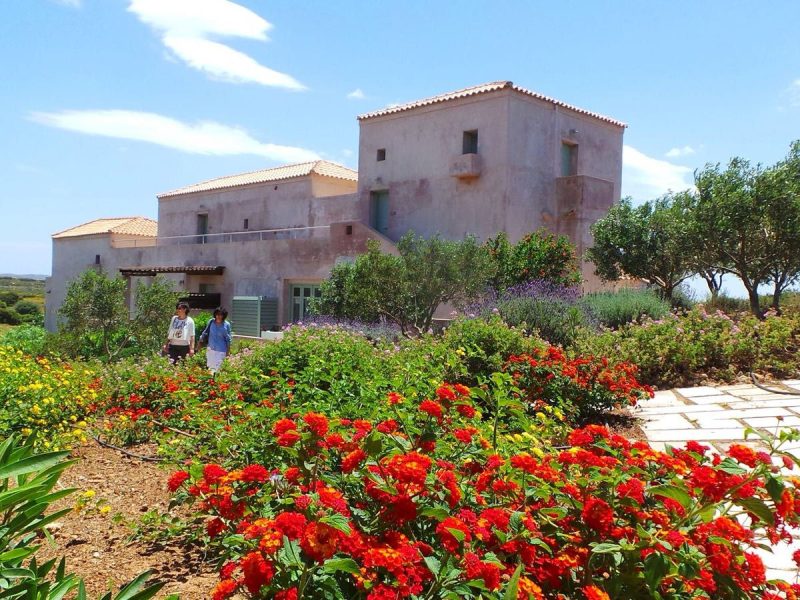 kythira-yoga-retreat-modern-yogi-6